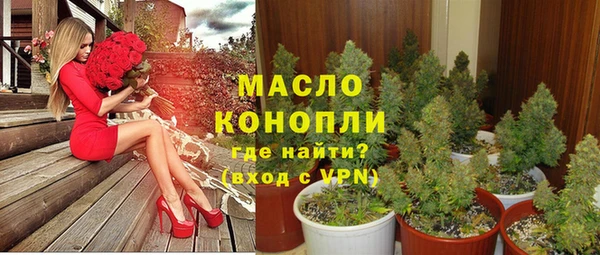 молекула духа Балахна