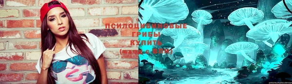 молекула духа Балахна