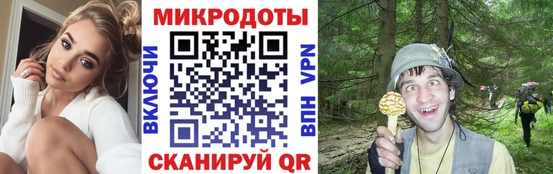Псилоцибиновые грибы MAGIC MUSHROOMS  mega зеркало  Холмск 