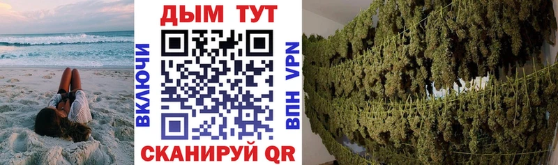 купить наркотик  Холмск  Бошки Шишки гибрид 